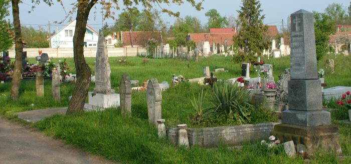 1919-ben kivégzett szolnokiak síremlékei és emlékműve a katolikus temetőben. (Háttérben jobbra a régi izraelita temető.) Fotó: Kósa Károly.