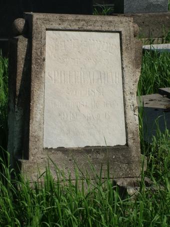 Spiller Aladár (szül. 1881, mártírhalált halt 1919. máj. 6.) síremléke. Fotó: Kósa Károly.
